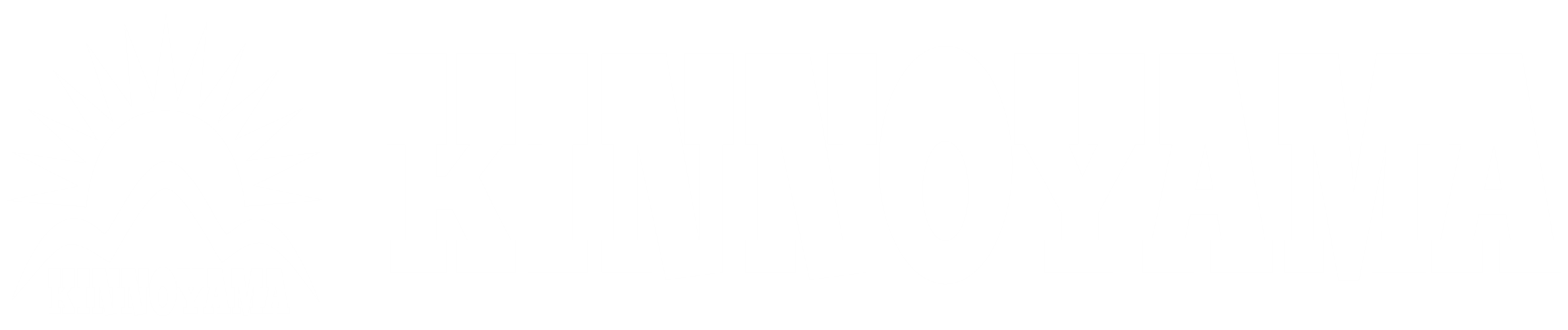 Kinnoyama